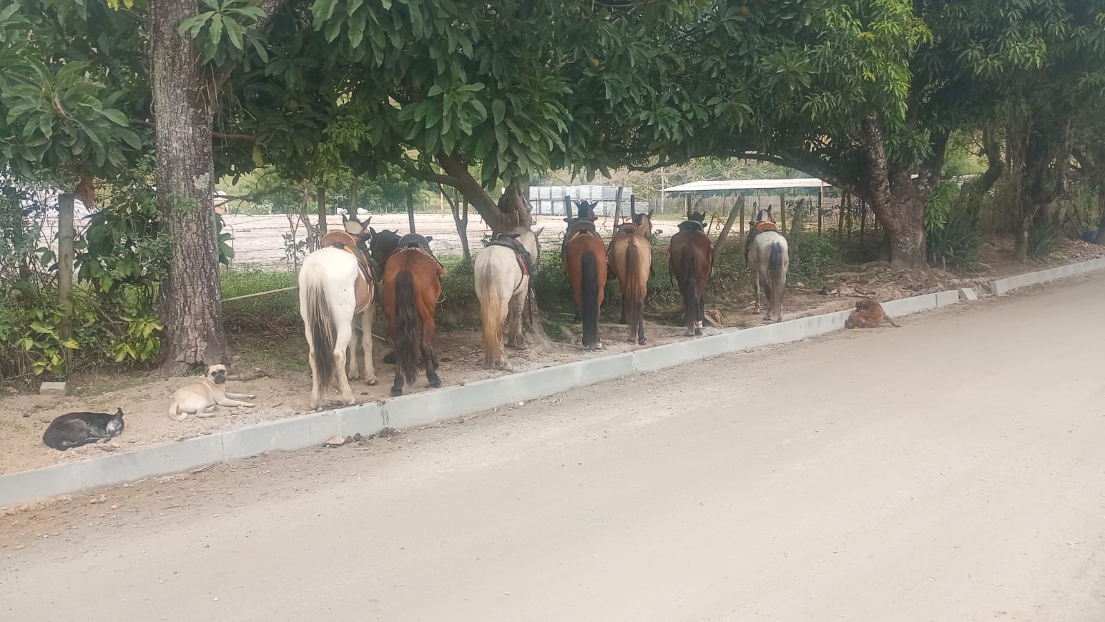 Vista panorâmica da cordilheira do Sana